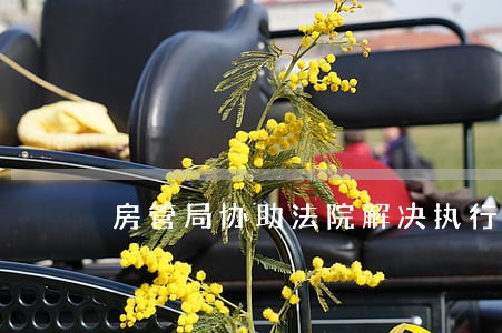房管局协助法院解决执行难 房管局协助法院解决执行难