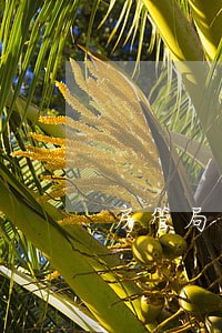 房管局违法过户代理词