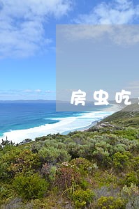 房虫吃差价违法吗 房虫吃差价违法吗