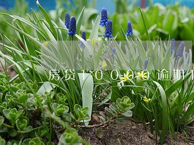 房贷10000逾期1天利息