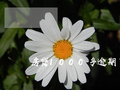 房贷1000多逾期了 房贷1000多逾期了