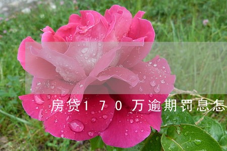 房贷170万逾期罚息怎么算 房贷170万逾期罚息怎么算