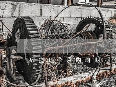 房贷1个月内逾期