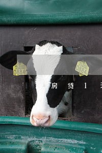 房贷1天算逾期 房贷1天算逾期