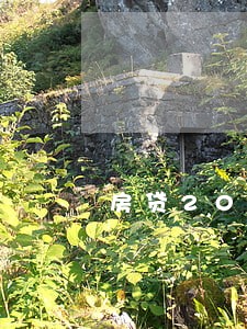 房贷2000逾期一天罚息多少 房贷2000逾期一天罚息多少