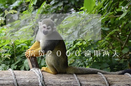 房贷2000逾期两天 房贷2000逾期两天