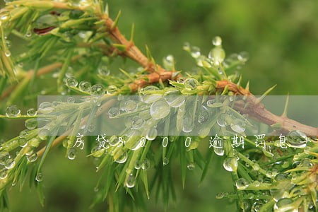 房贷3000逾期罚息一共多少钱 房贷3000逾期罚息一共多少钱