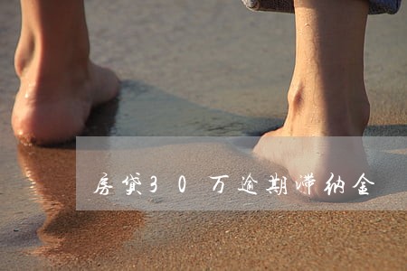 房贷30万逾期滞纳金 房贷30万逾期滞纳金