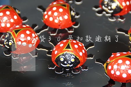 房贷30号扣款逾期了 房贷30号扣款逾期了