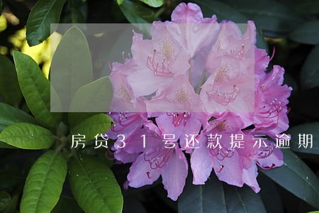房贷31号还款提示逾期