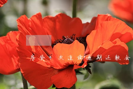 房贷3次连续逾期还款会咋样 房贷3次连续逾期还款会咋样