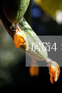 房贷4年前有过逾期是否能车贷