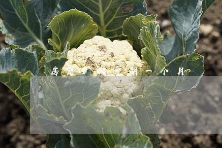 房贷4次逾期一个月 房贷4次逾期一个月