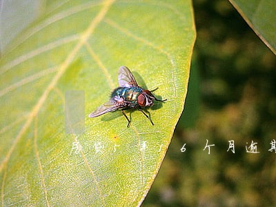 房贷5年16个月逾期 房贷5年16个月逾期
