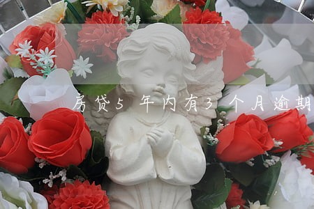 房贷5年内有3个月逾期 房贷5年内有3个月逾期