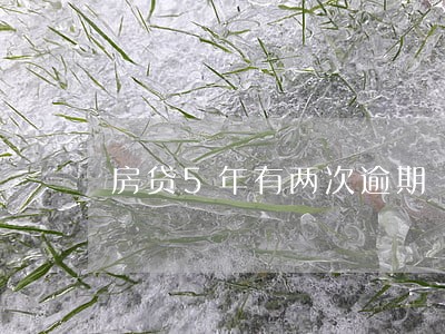 房贷5年有两次逾期 房贷5年有两次逾期