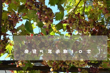 房贷5年逾期10次 房贷5年逾期10次