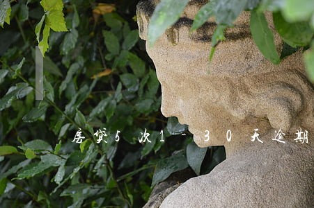 房贷5次1-30天逾期 房贷5次1-30天逾期