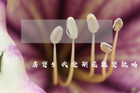 房贷5次逾期还能贷款吗 房贷5次逾期还能贷款吗