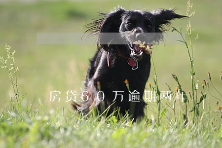 房贷60万逾期两年 房贷60万逾期两年