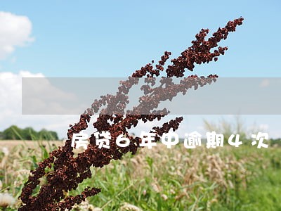 房贷6年中逾期4次 房贷6年中逾期4次
