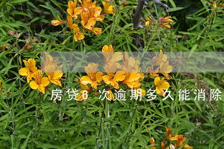 房贷6次逾期多久能消除 房贷6次逾期多久能消除