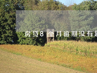 房贷8个月逾期没有超过90天 房贷8个月逾期没有超过90天