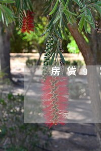 房贷9次逾期能办房贷 房贷9次逾期能办房贷