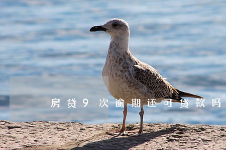 房贷9次逾期还可贷款吗