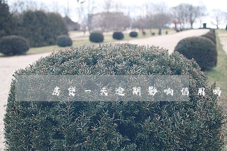 房贷一天逾期影响信用吗 房贷一天逾期影响信用吗