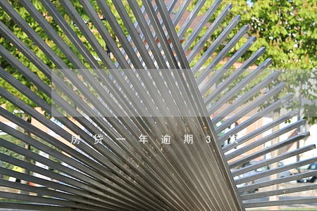 房贷一年逾期3次 房贷一年逾期3次