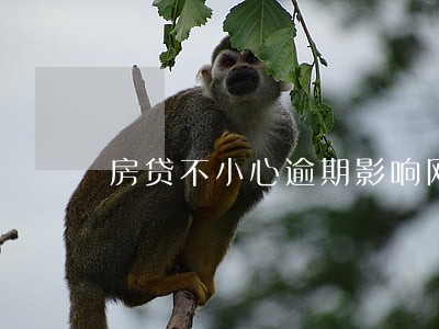 房贷不小心逾期影响网捷贷