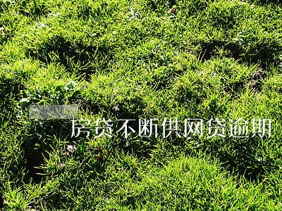 房贷不断供网贷逾期 房贷不断供网贷逾期