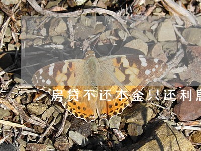 房贷不还本金只还利息 房贷不还本金只还利息