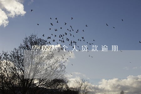 房贷两个人贷款逾期 房贷两个人贷款逾期