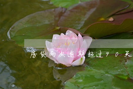 房贷两次逾期超过90天 房贷两次逾期超过90天