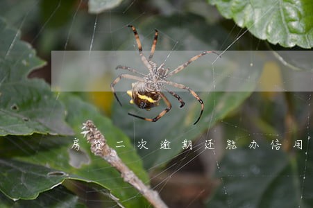 房贷二次逾期还能办信用卡吗