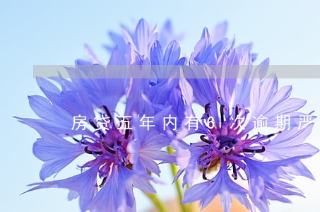房贷五年内有6次逾期严重吗 房贷五年内有6次逾期严重吗