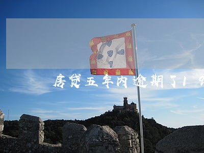 房贷五年内逾期了19次