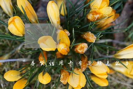 房贷信用卡有逾期怎么办 房贷信用卡有逾期怎么办
