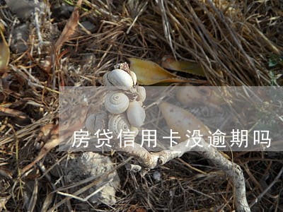 房贷信用卡没逾期吗 房贷信用卡没逾期吗