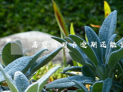 房贷信用卡逾期还能贷款吗 房贷信用卡逾期还能贷款吗