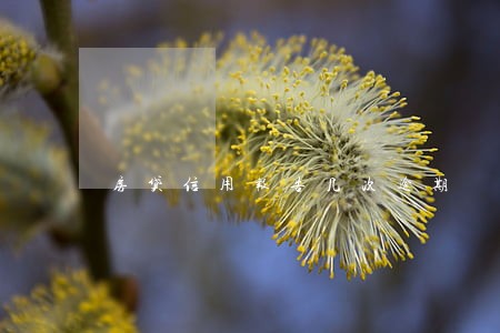 房贷信用报告几次逾期