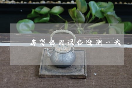房贷信用报告逾期一次 房贷信用报告逾期一次