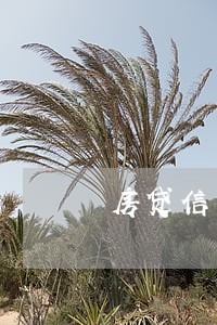 房贷信用记录逾期一次 房贷信用记录逾期一次