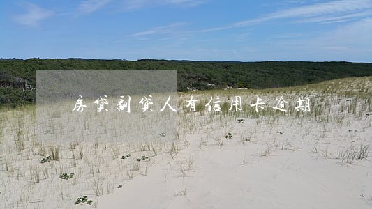 房贷副贷人有信用卡逾期 房贷副贷人有信用卡逾期