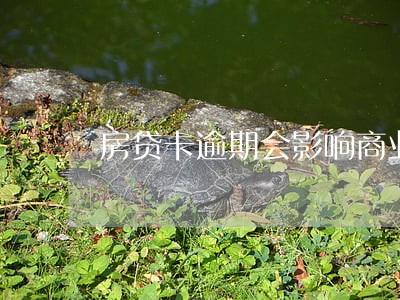 房贷卡逾期会影响商业贷款吗 房贷卡逾期会影响商业贷款吗