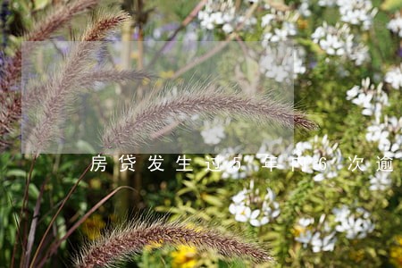 房贷发生过5年内6次逾期