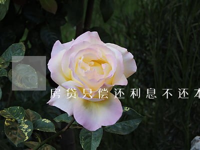 房贷只偿还利息不还本金