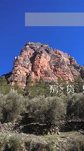 房贷只还本金吗 房贷只还本金吗